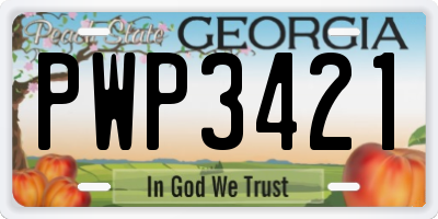 GA license plate PWP3421