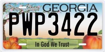 GA license plate PWP3422