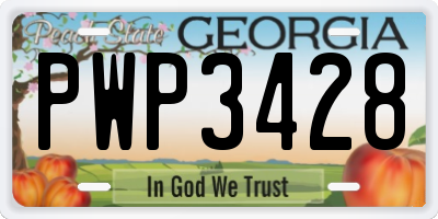 GA license plate PWP3428