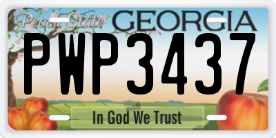 GA license plate PWP3437