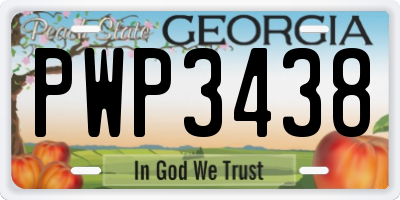 GA license plate PWP3438