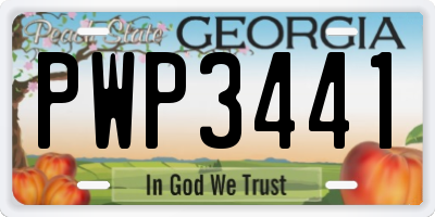 GA license plate PWP3441