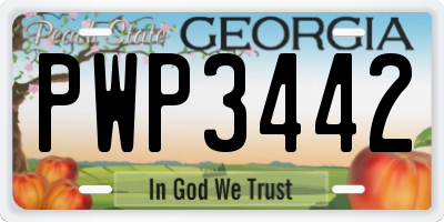 GA license plate PWP3442