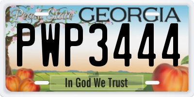 GA license plate PWP3444