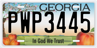 GA license plate PWP3445
