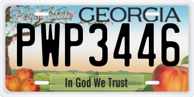 GA license plate PWP3446