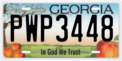 GA license plate PWP3448