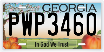 GA license plate PWP3460