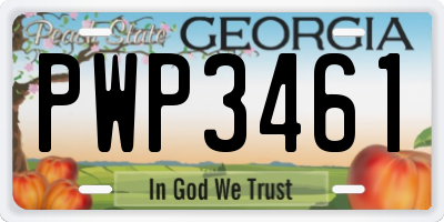 GA license plate PWP3461
