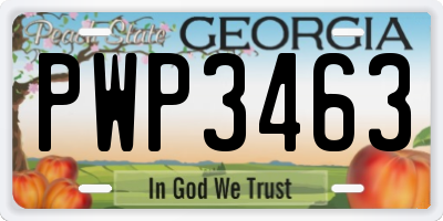 GA license plate PWP3463