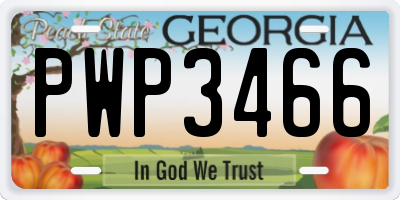 GA license plate PWP3466
