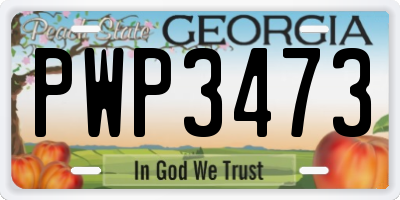 GA license plate PWP3473