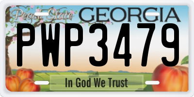 GA license plate PWP3479