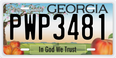 GA license plate PWP3481