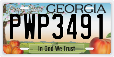 GA license plate PWP3491