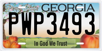 GA license plate PWP3493
