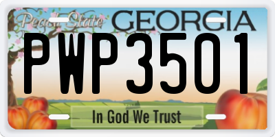 GA license plate PWP3501