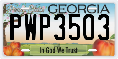 GA license plate PWP3503