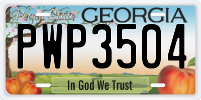 GA license plate PWP3504