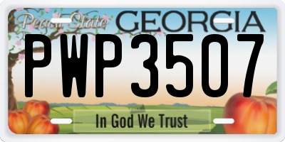 GA license plate PWP3507