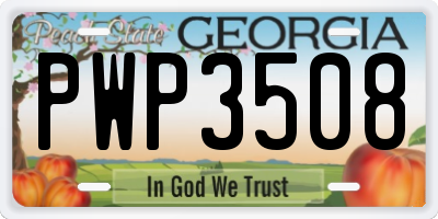 GA license plate PWP3508