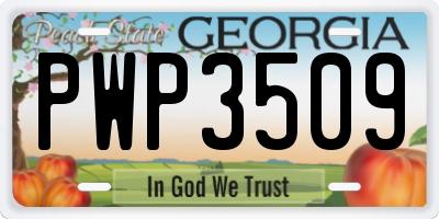 GA license plate PWP3509