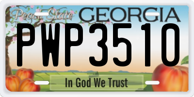 GA license plate PWP3510