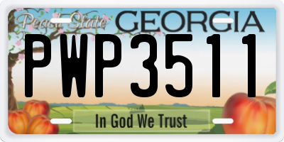 GA license plate PWP3511