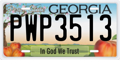 GA license plate PWP3513