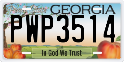 GA license plate PWP3514