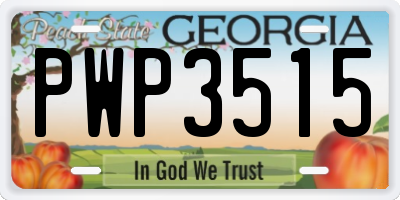 GA license plate PWP3515