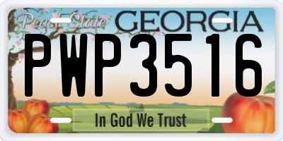 GA license plate PWP3516