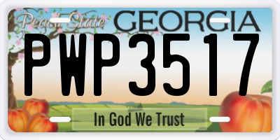 GA license plate PWP3517