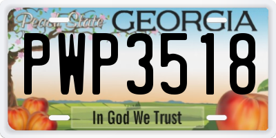 GA license plate PWP3518