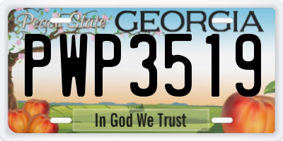 GA license plate PWP3519