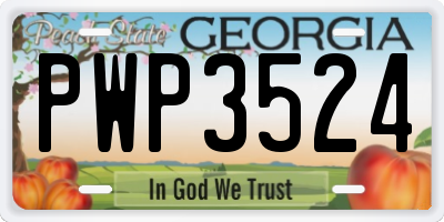 GA license plate PWP3524
