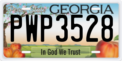 GA license plate PWP3528