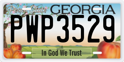 GA license plate PWP3529