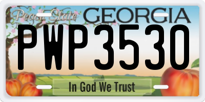 GA license plate PWP3530