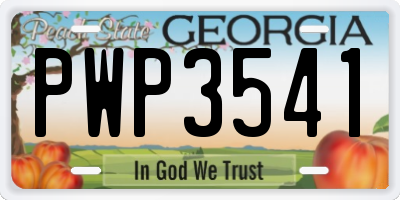 GA license plate PWP3541