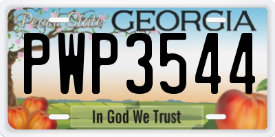 GA license plate PWP3544