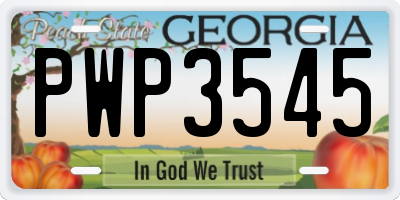 GA license plate PWP3545