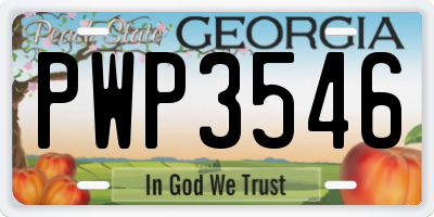GA license plate PWP3546