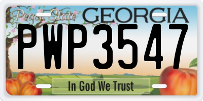 GA license plate PWP3547