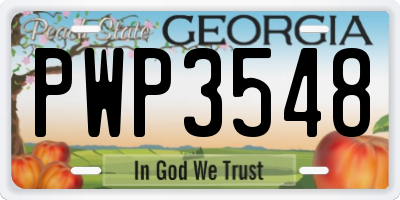 GA license plate PWP3548