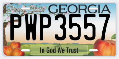 GA license plate PWP3557