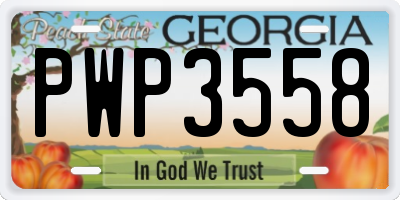 GA license plate PWP3558