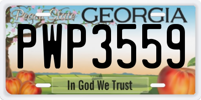 GA license plate PWP3559