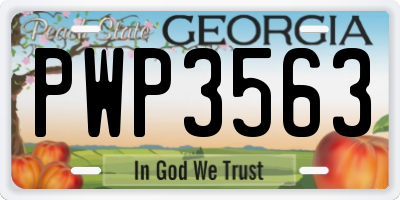 GA license plate PWP3563