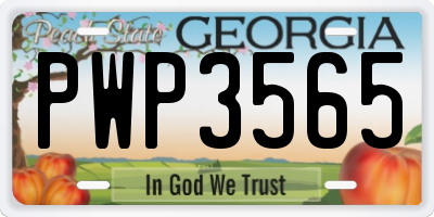 GA license plate PWP3565
